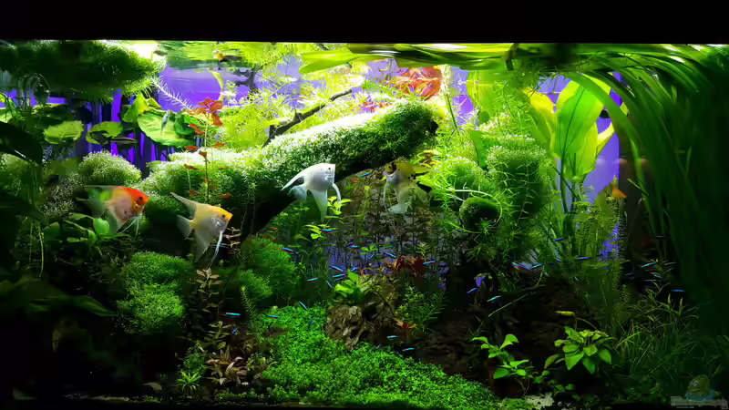 21.02.2016 von Sebastian Hartmann (82)