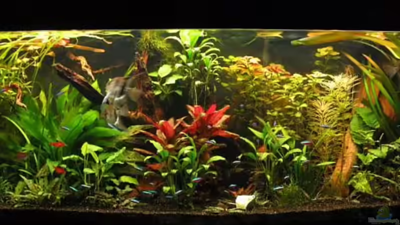 21.03.07 von Gerrit Buck (5)