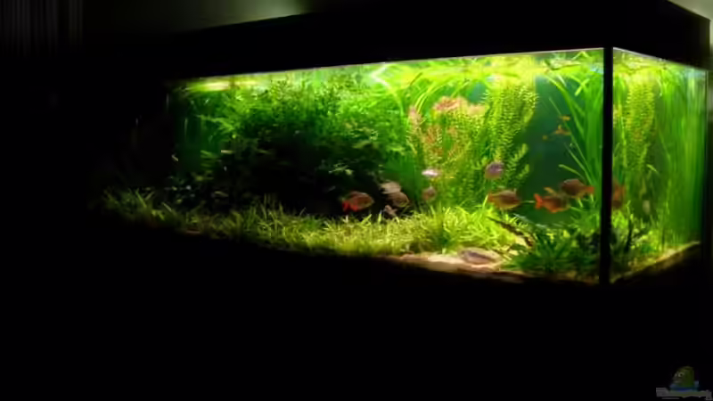 21.03.08 nur mit hinterem Leuchtbalken beleuchtet von Daniel_ (4)