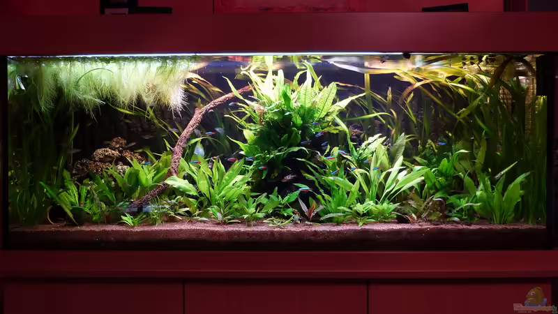 21.03.14 von Dieter (7)