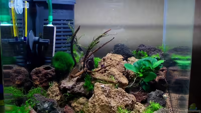 21.03.2012 von Koehler (3)