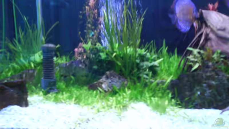 21.04.08 von Eberhard Brammer (8)