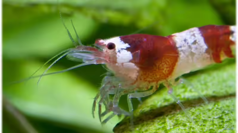 21.04.2012 von Ralf64 (58)