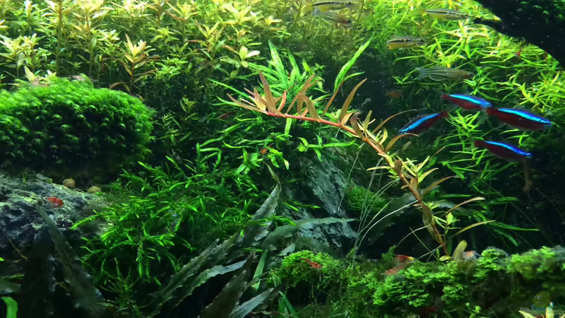 21.04.2014 von Walde (33)