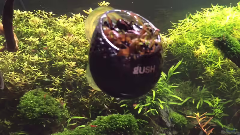 21.04.2014 von Walde (39)