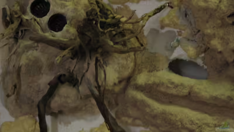 21.04.2015 Details Bau Rückwandmodul von der Theoretiker (32)