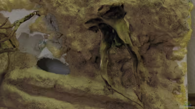 21.04.2015 von der Theoretiker (33)