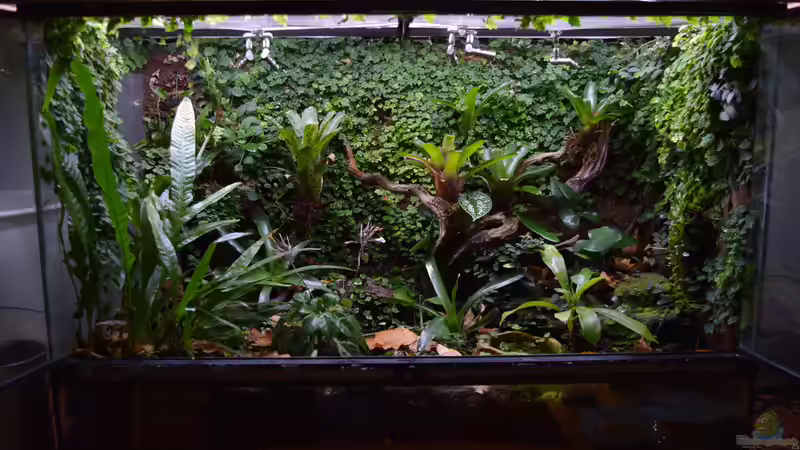 21.04.2016 von Junglist (51)