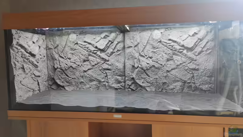 21.04.2021 Rückwand und Bodengrund sind drin von stephan-k (12)