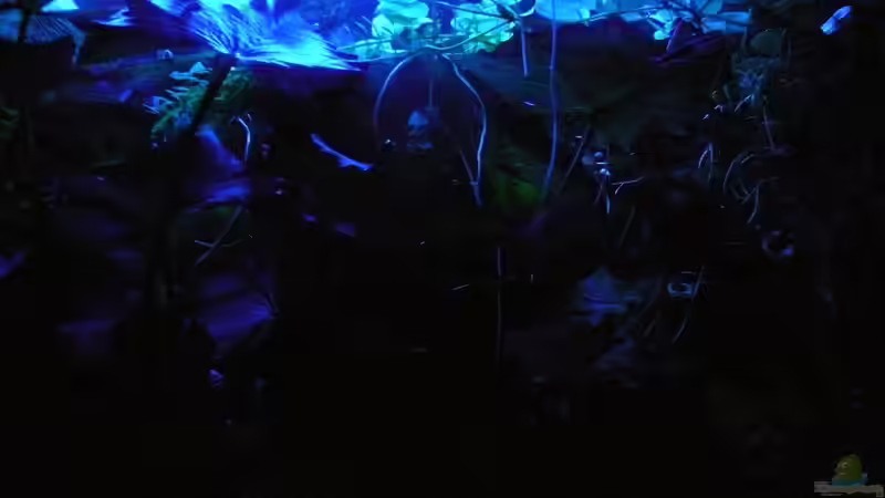 21.05 Uhr von Die kleine Meerjungfrau (5)