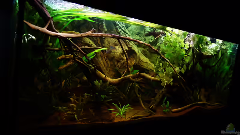 21.06.17 von Atacama (10)