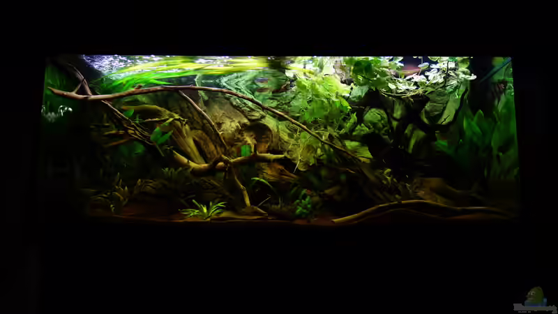 21.06.17 von Atacama (9)