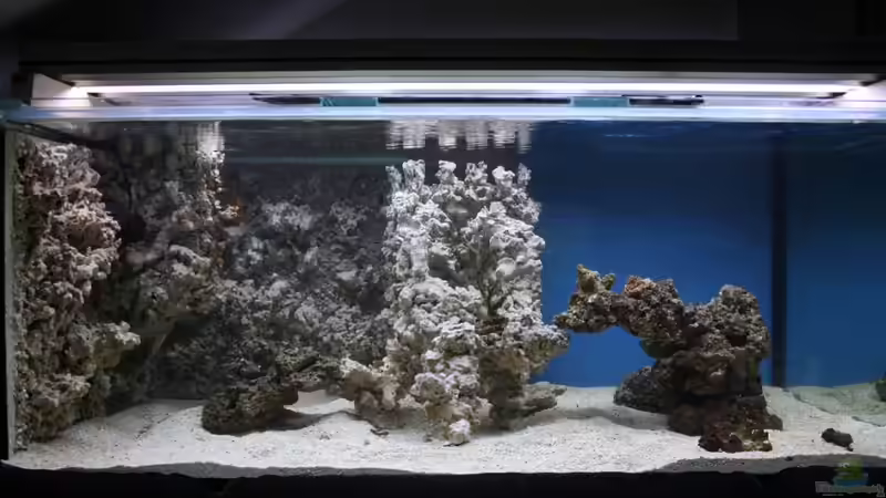 21.06.2010; 2x80 Watt von Stephan Ascher (41)