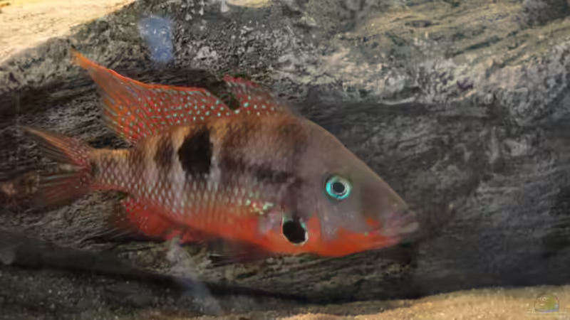 21.06.2015 von Laura (45)