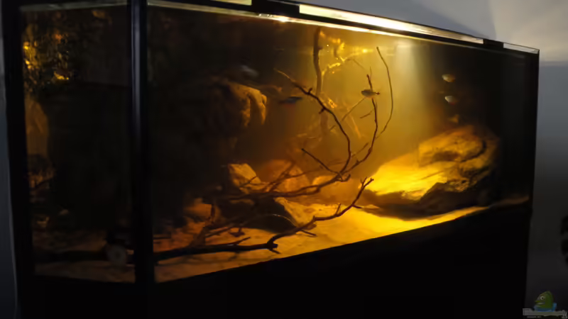 21.06.2015 von Laura (7)