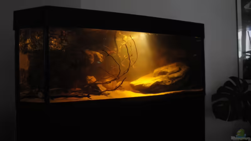 21.06.2015 von Laura (8)