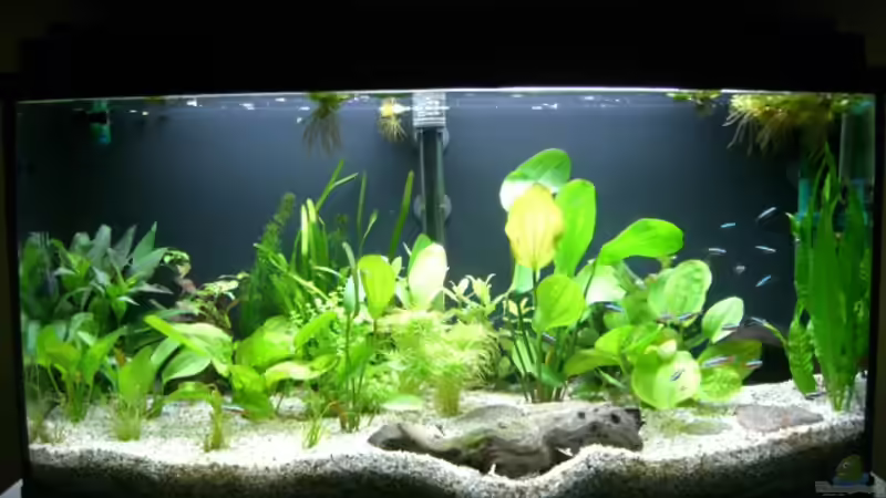 21.07.2009 von Alexander Eckel (3)