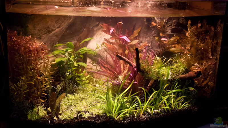 21.07.2010 von Ralf64 (22)