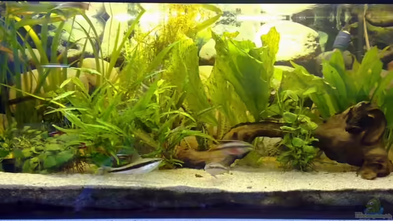 21.07.2010 von Thomas Höppner (1)