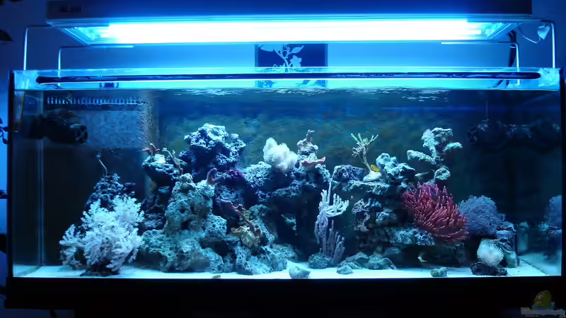 21.07.2012 von Jane Vogeler (22)