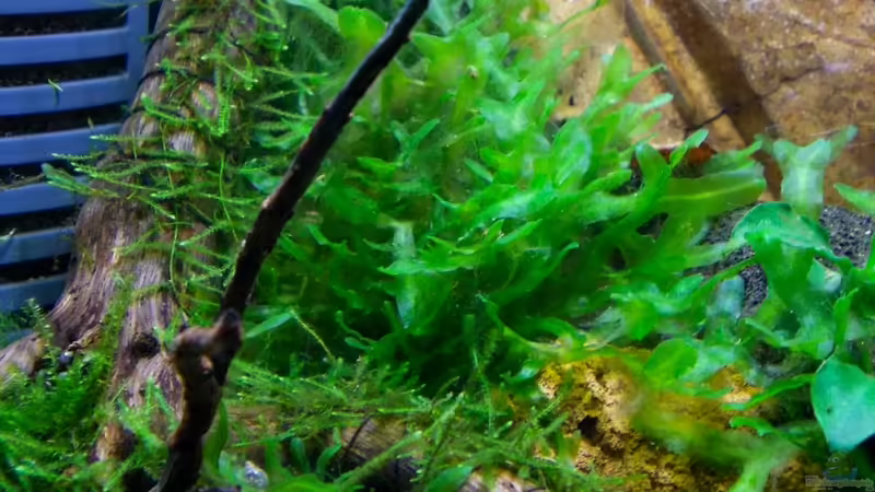 21.07.2012 von Koehler (26)