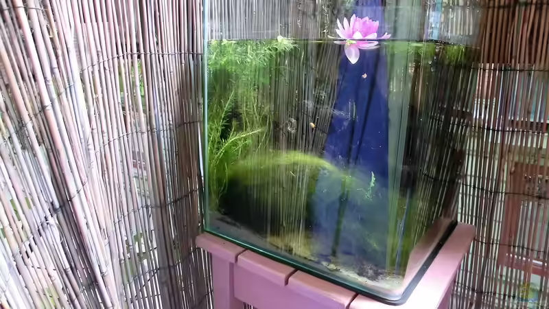 21.07.2016 von Laufilauf (9)