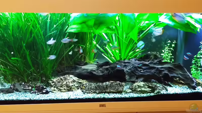 21.07.2023 von Pegnitz (7)