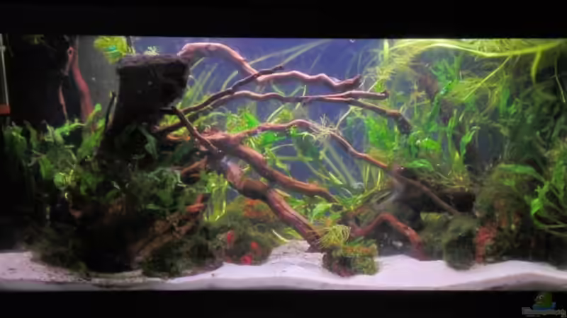 21.08.09 von Dominik (15)