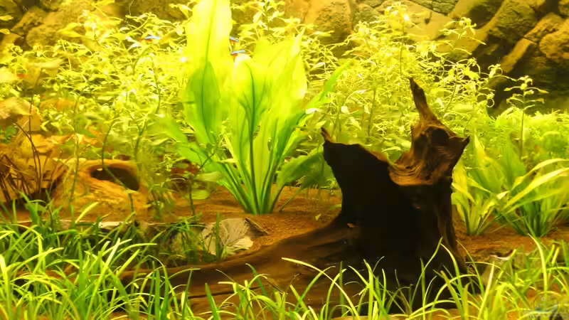 21.08.10 von Robert Reinsch (3)