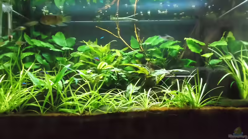 21.08.21 von Ralf-Uwe Hedderich (1)