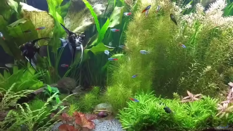 21.09.18 linke Seite von Stephy (11)