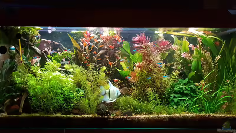 21.1. Neuer LED Leiste  von Mel (16)