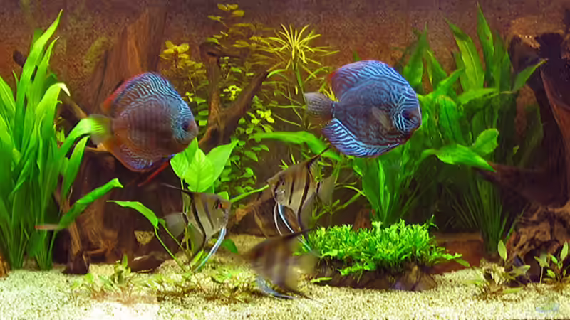 21.10.08 von Klaus Kastl (3)