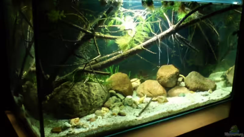 21.10.08 von timme (3)