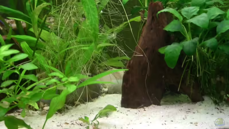 21.10.2010 kleine Höhle unter der Wurzel von M to the ilan (9)