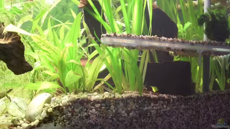 21.10.2010 Terrassen und Wurzelhöhle von hinten. Blick durch die rechte-hintere von M to the ilan (26)