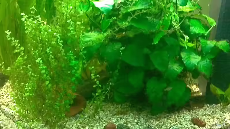 21.10.2015 von baw (2)