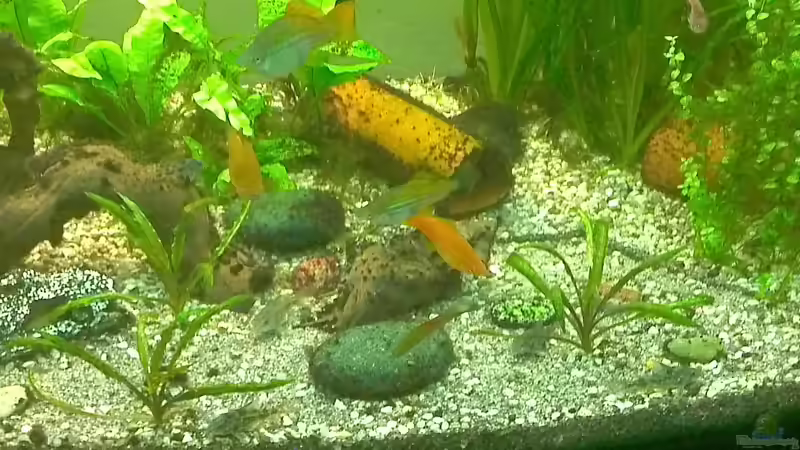 21.10.2015 von baw (7)