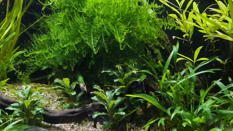 21.10.2021 von okefenokee (16)