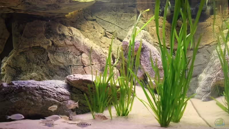 21-11-2011 von HirMat (29)