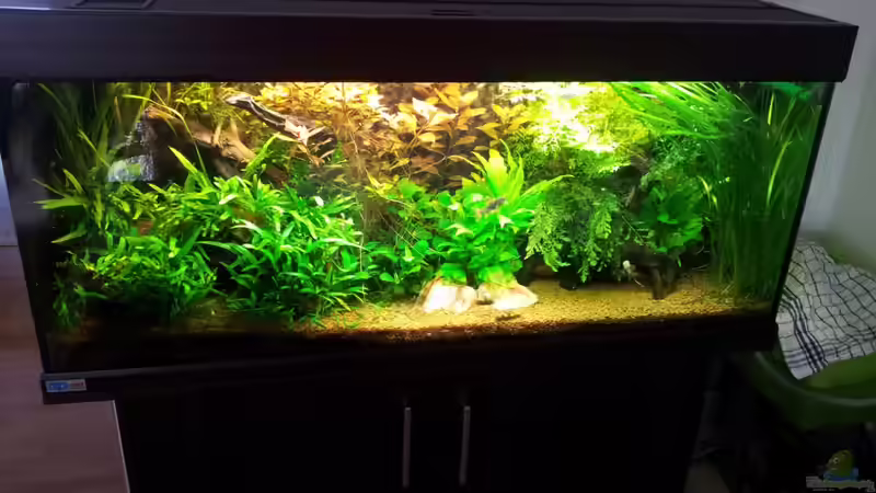 21.11.2012 von Ferbi (15)