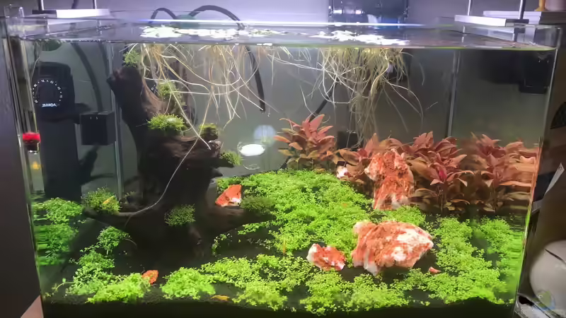 21.11.2019 von Frank T. (1)