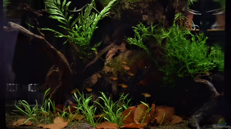 21.11.2020 von Junglist (4)