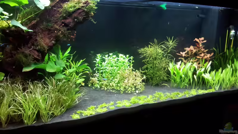 21.12.13 von Terence Hill (4)