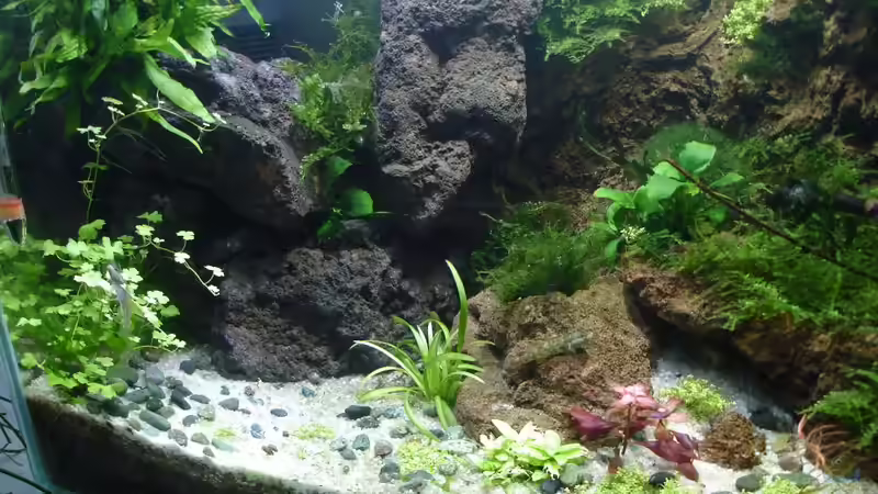 21.12.14 von Grünhexe (4)