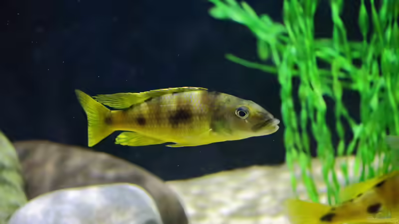 21.12.2013 von Klaus Lischka (16)