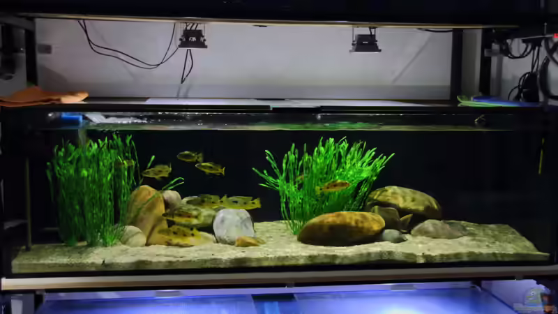 21.12.2013 von Klaus Lischka (2)