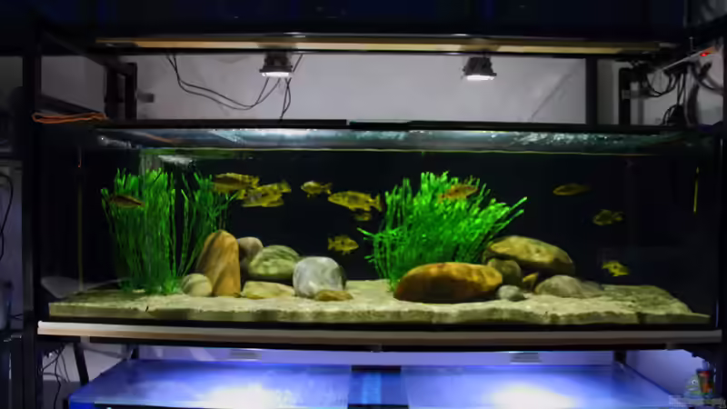 21.12.2013 von Klaus Lischka (3)