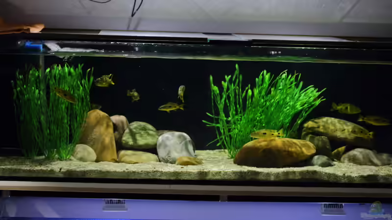 21.12.2013 von Klaus Lischka (5)