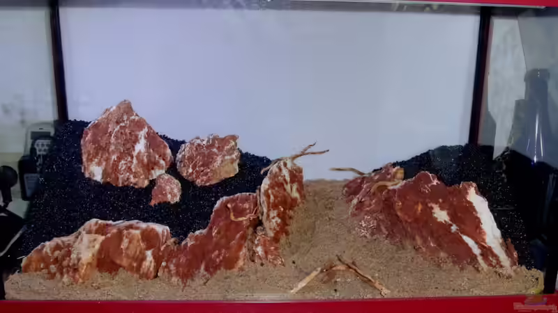 21.2.02 zwei Tage nach dem Ersten Einrichten, kleine Anpassungen von Bjarke (20)